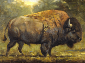 Buffalo